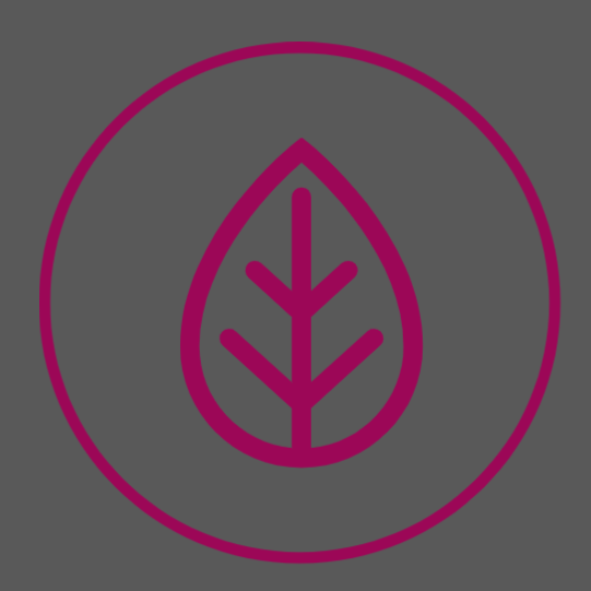 Ceramics at Number 15